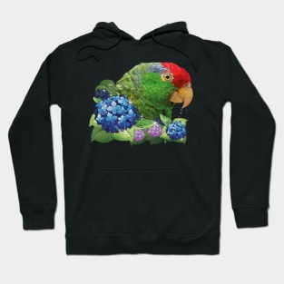 Tamaulipas parrot Hoodie